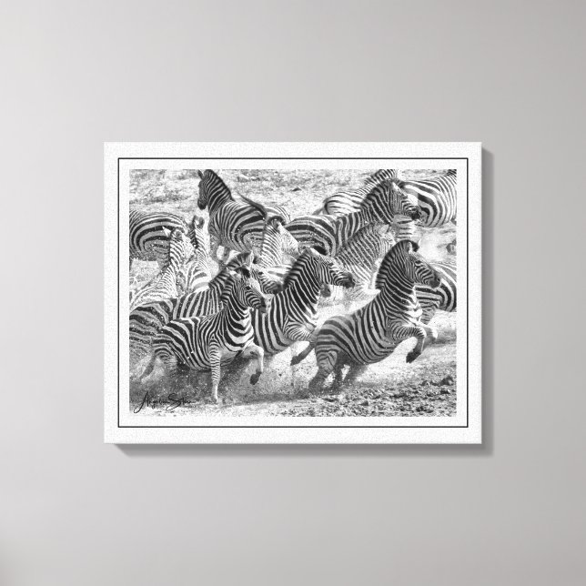 Modern black and white Photography Fine Art Zebra Canvas Print (Front)