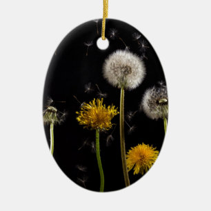 Modern Black Dandelion Ceramic Tree Decoration