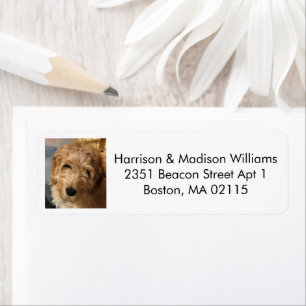 Modern black white custom photo return address