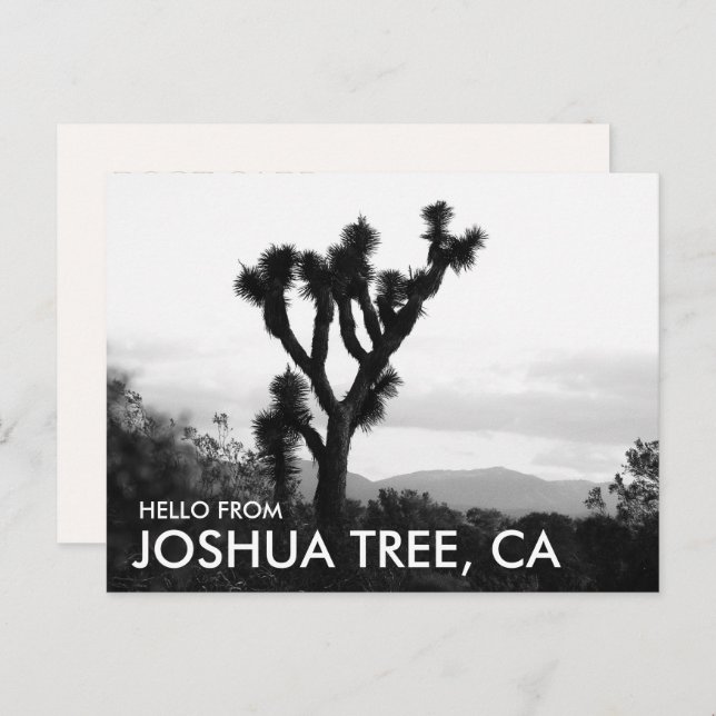 Modern Black & White Hello from Joshua Tree Postcard (Front/Back)