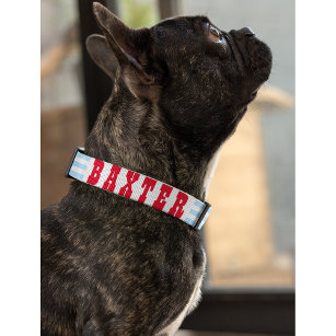 Modern Blue Stripes Dog Puppy Doggy Name Custom Pet Collar