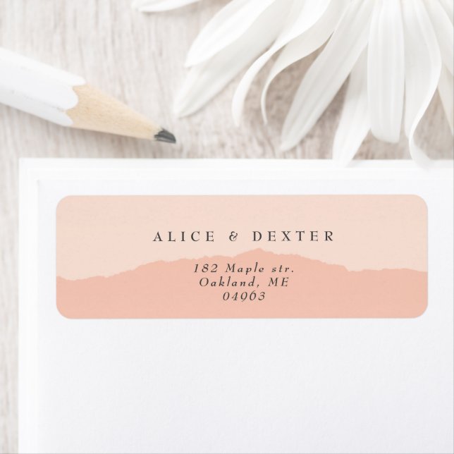 Modern Blush Rose Couple Wedding (Insitu)