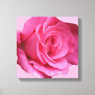 Modern boho pretty pink rose digital fine art canvas print