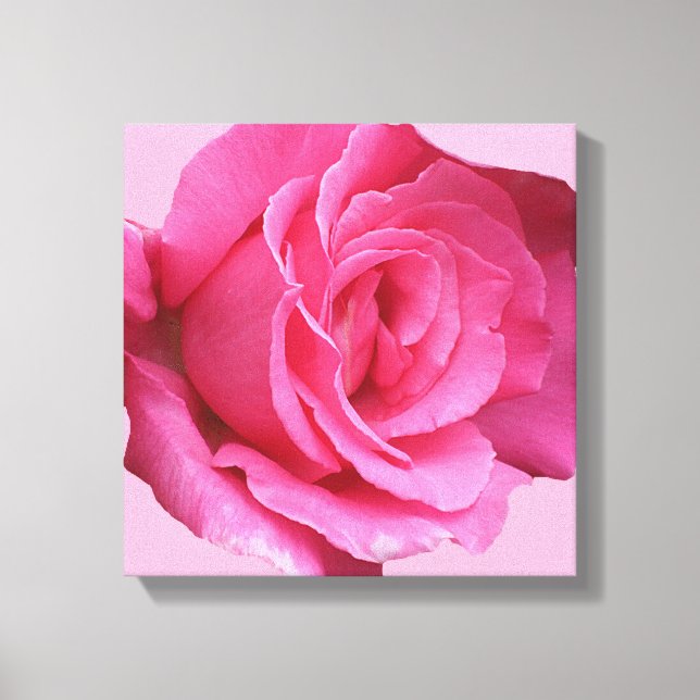 Modern boho pretty pink rose digital fine art canvas print (Front)