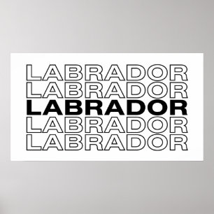 Modern Bold Labrador Typography Graphic Poster