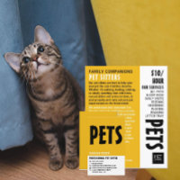 Modern Bold, Pet Sitting Service Advertising