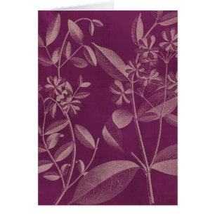 Modern Botany III