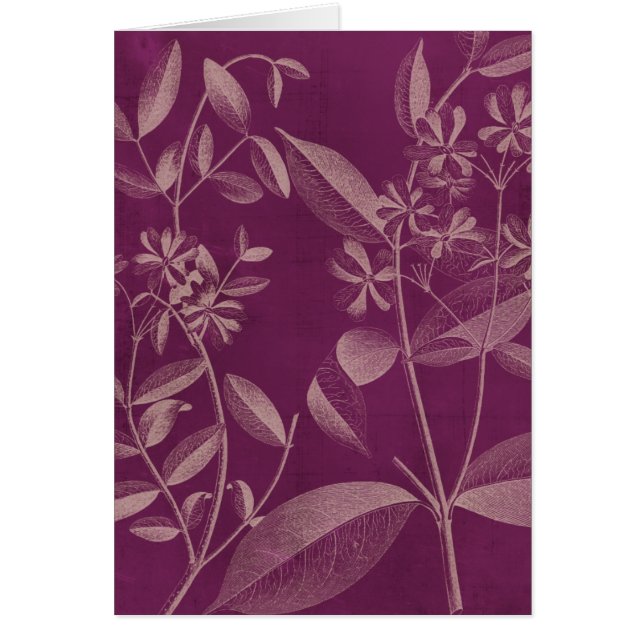 Modern Botany III (Front)