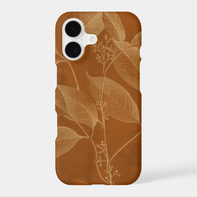 Modern Botany VI (Back)