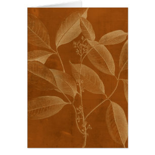 Modern Botany VI