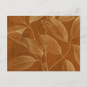 Modern Botany VI Postcard