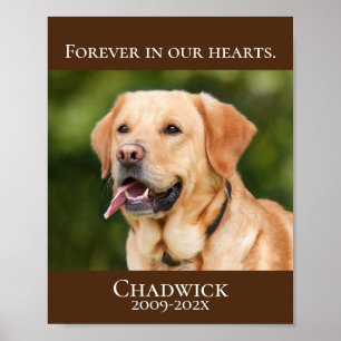 Modern Brown Add Photo Pet Memorial Poster