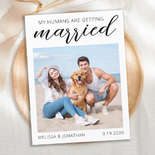 Modern Calligraphy Custom Dog Photo Save The Date  Announcement Postcard