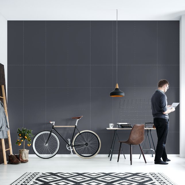 Modern Charcoal Grey | Office Home Decor Winter Wallpaper (Living Room)