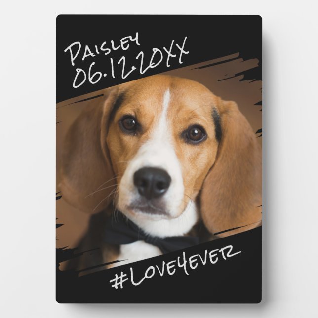 Modern Chic Elegant Simple Black Pet Dog Keepsake Plaque (Front)