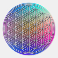 Modern Chic Silver Flower of Life Blume des Lebens
