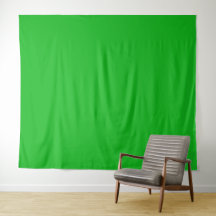 Modern Chroma Key Green Screen Zoom backdrop