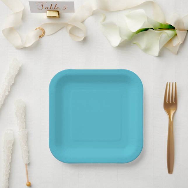 Modern coastal aqua solid paper plate (Wedding)