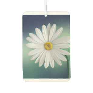 modern colourful elegante customisable design  car air freshener