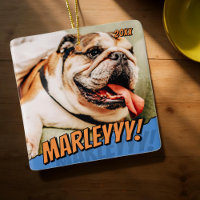 Modern Comic Simple Cool Custom Pet Photo