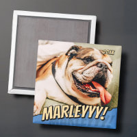 Modern Comic Simple Cool Custom Pet Photo