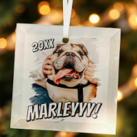 Modern Comic Simple Grunge Custom Pet Photo