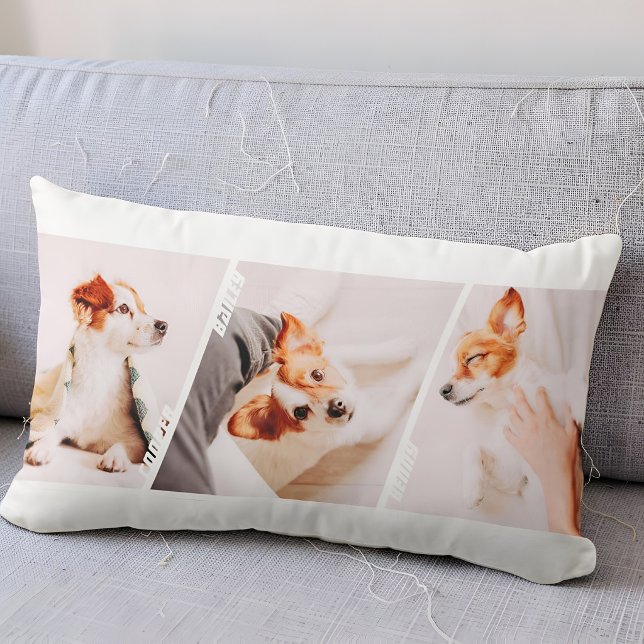 Modern Cool 3 Photo Names Collage Multi Pet Owner Lumbar Cushion (Creator Uploaded)
