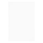 Modern Copper Restaurant Grand Opening