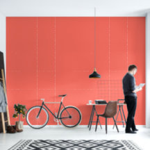 Modern Coral pink Plain Solid Colour