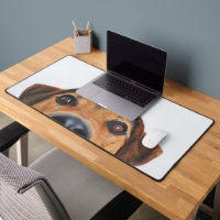 Modern Custom Dog Photo