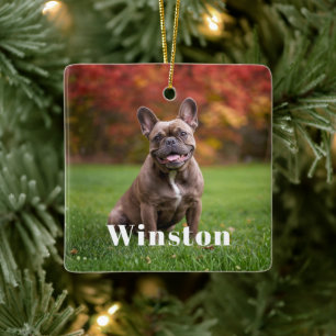 Modern Custom Pet Name Photo Holiday Ceramic Ornament