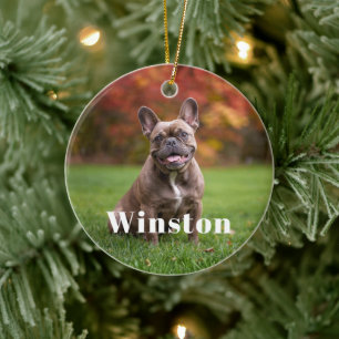 Modern Custom Pet Name Photo Holiday Ceramic Tree Decoration