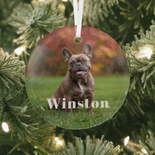 Modern Custom Pet Name Photo Holiday Glass Tree Decoration