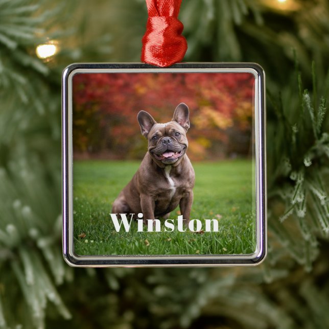 Modern Custom Pet Name Photo Holiday Metal Tree Decoration (Tree)