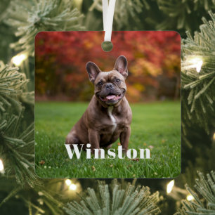 Modern Custom Pet Name Photo Holiday Metal Tree Decoration
