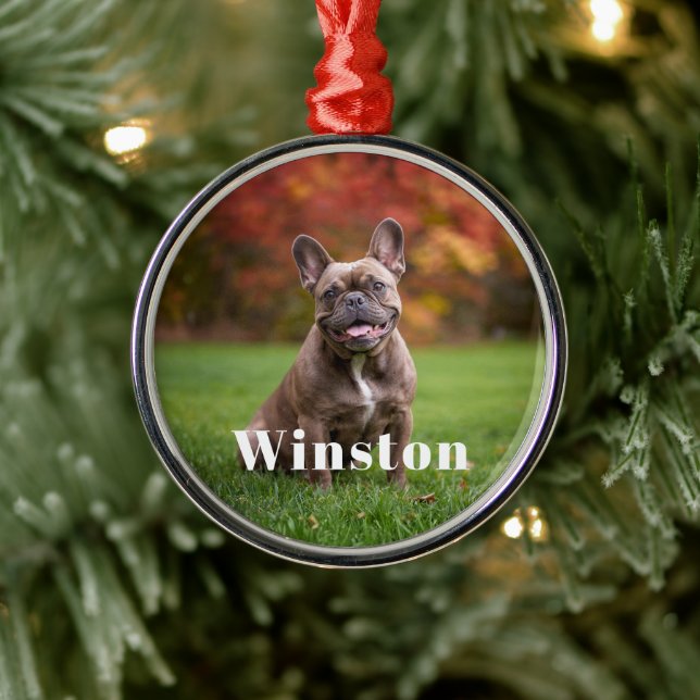 Modern Custom Pet Name Photo Holiday Metal Tree Decoration (Tree)