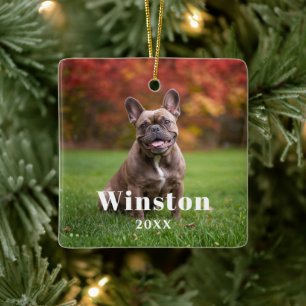Modern Custom Pet Name Year Photo Holiday Ceramic Ornament
