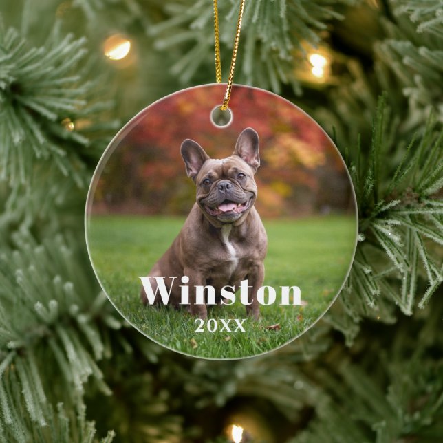 Modern Custom Pet Name Year Photo Holiday Ceramic Tree Decoration (Tree)