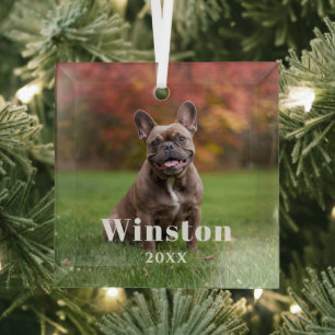 Modern Custom Pet Name Year Photo Holiday Glass Tree Decoration