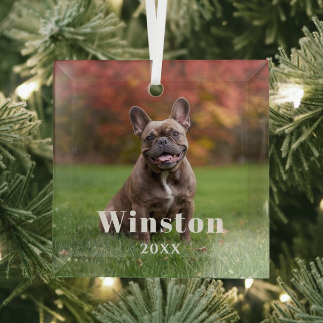 Modern Custom Pet Name Year Photo Holiday Glass Tree Decoration (Insitu)