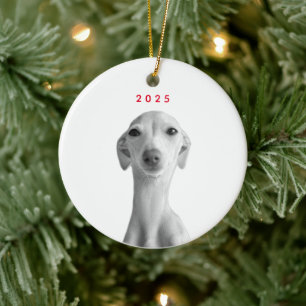 Modern Custom Pet Portrait Ceramic Tree Decoration
