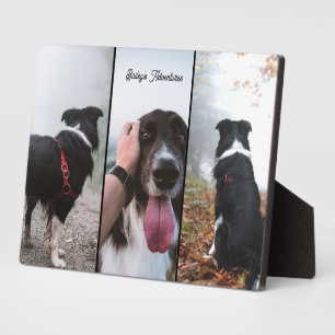 Modern Custom Photo Pet 3 Photo Collage Keepsake Plaque
