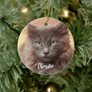 Modern Custom Photo Pet Name  Ceramic Tree Decoration