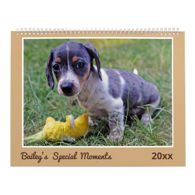 Modern Cute Dachshund Custom Pet Photos  Calendar (Cover)