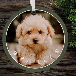 Modern Cute Paws Family Pet Photo Metal Tree Decoration