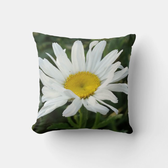 Modern Cute White daisy pillow (Front)