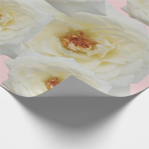 Modern cute white roses for her pink background wrapping paper