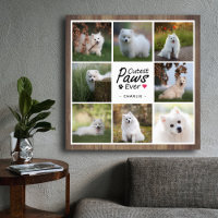 Modern Cutest Paws Ever Cute Pet Dog Photo Collage