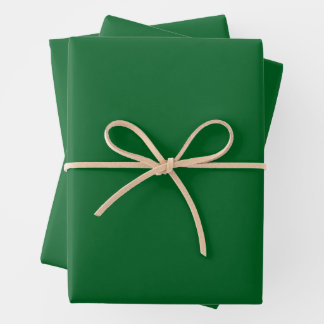 Modern Dark Forest Green Solid Colour  Wrapping Paper Sheet
