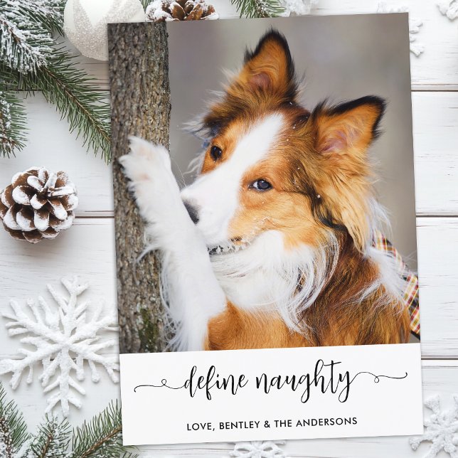 Modern Define Naughty Personalised Funny Pet Photo Holiday Card (Creator Uploaded)